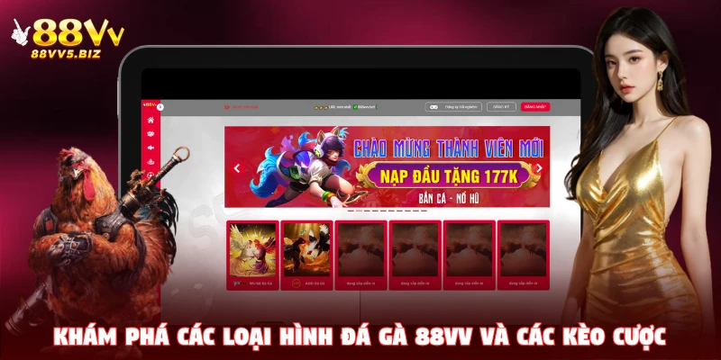 Những tuyệt chiêu giúp chơi đá gà 88VV hiệu quả