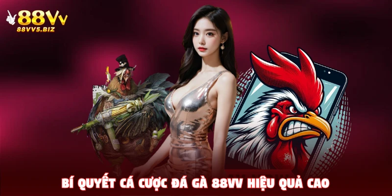 Bí quyết cá cược đá gà 88VV hiệu quả cao