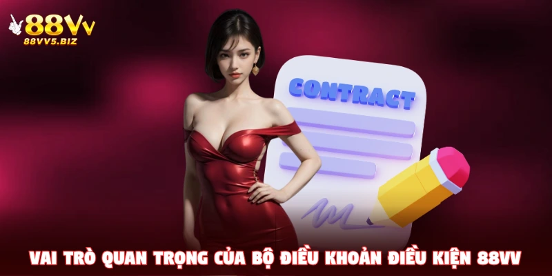 Vai trò quan trọng của bộ điều khoản điều kiện 88VV